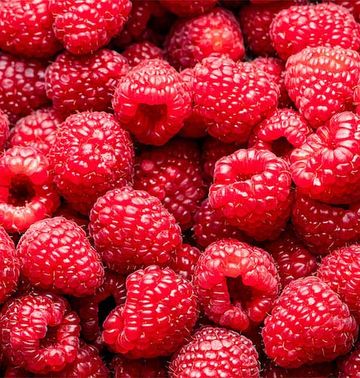 Himbeeren