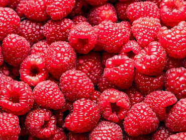 Himbeeren