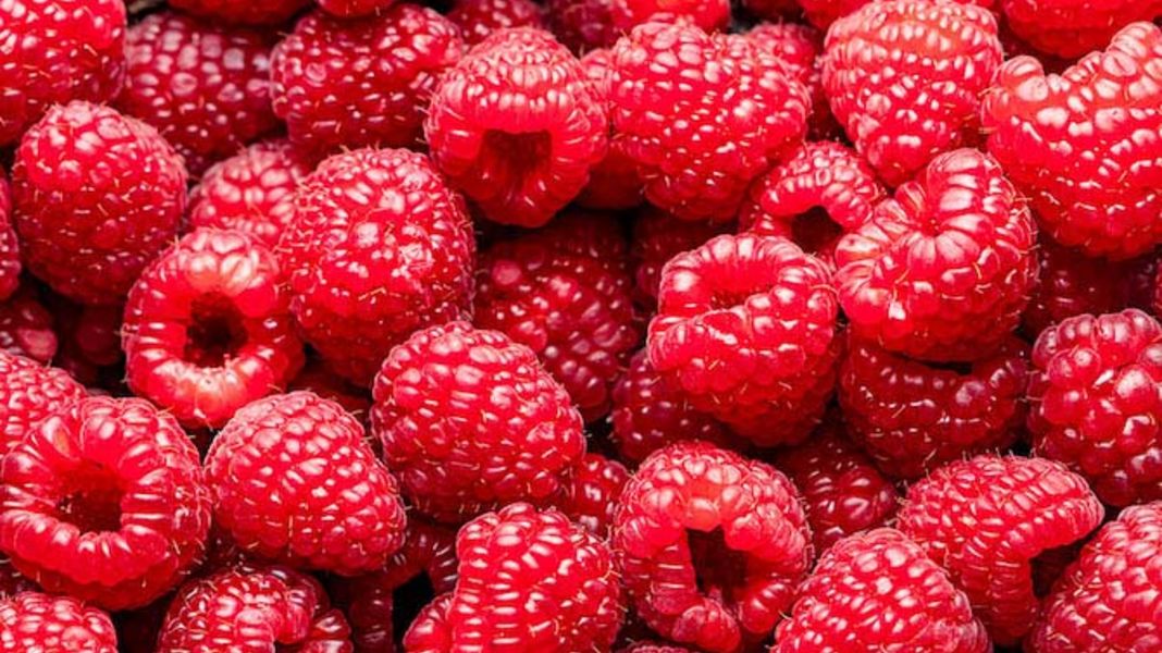 Himbeeren