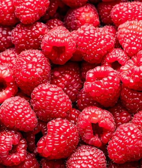 Himbeeren