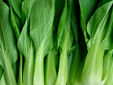 Pak Choi
