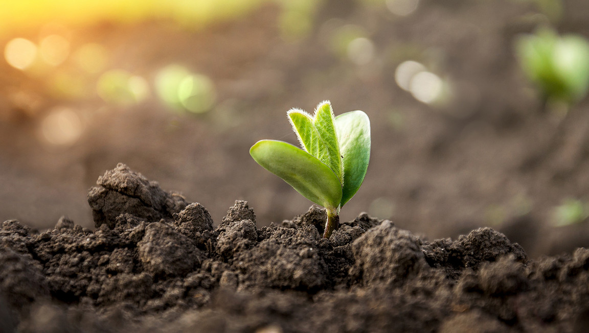 Nachhaltigkeit bei eismann