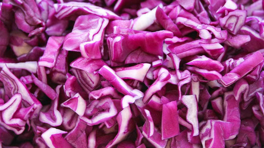 Rotkohl