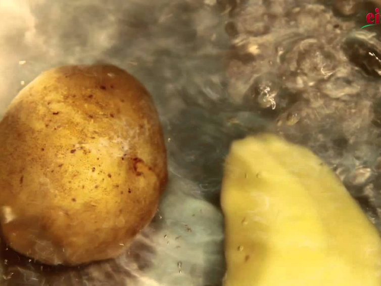 Kartoffeln: festkochende Kartoffeln (Einfach kochen)