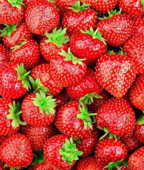 Erdbeeren