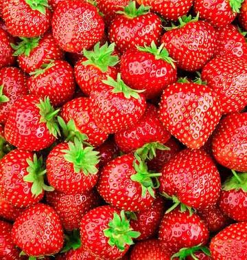 Erdbeeren