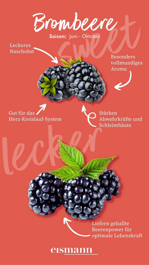 Brombeeren - Eigenschaften, Saison und Vorteile in der Ernährung