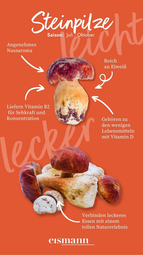 Steinpilze - Eigenschaften, Saison und Vorteile in der Ernährung