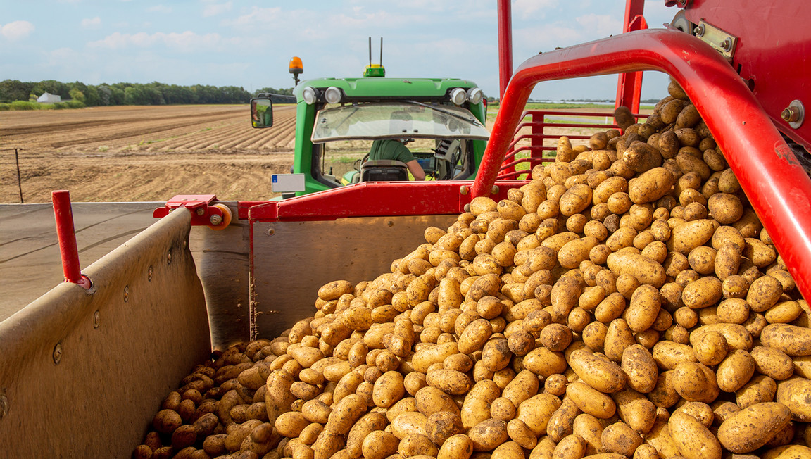 Produktinfos und Herkunft