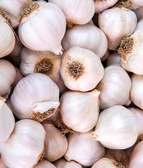 Knoblauch