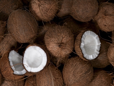 Kokosnuss