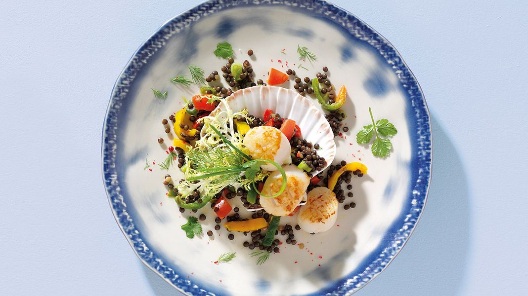 Jakobsmuscheln auf Beluga Linsen Salat
