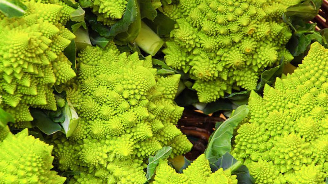 Romanesco