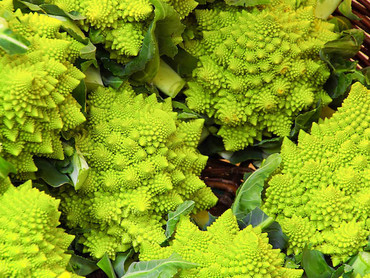 Romanesco