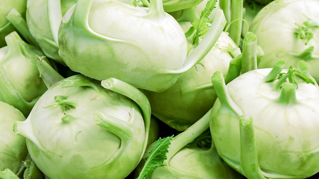 Kohlrabi