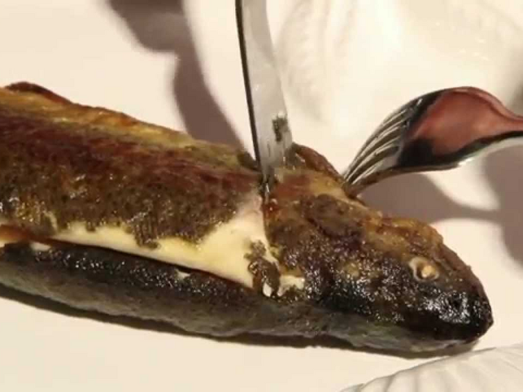 Forelle filetieren (Einfach kochen)