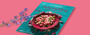 Katalog anfordern