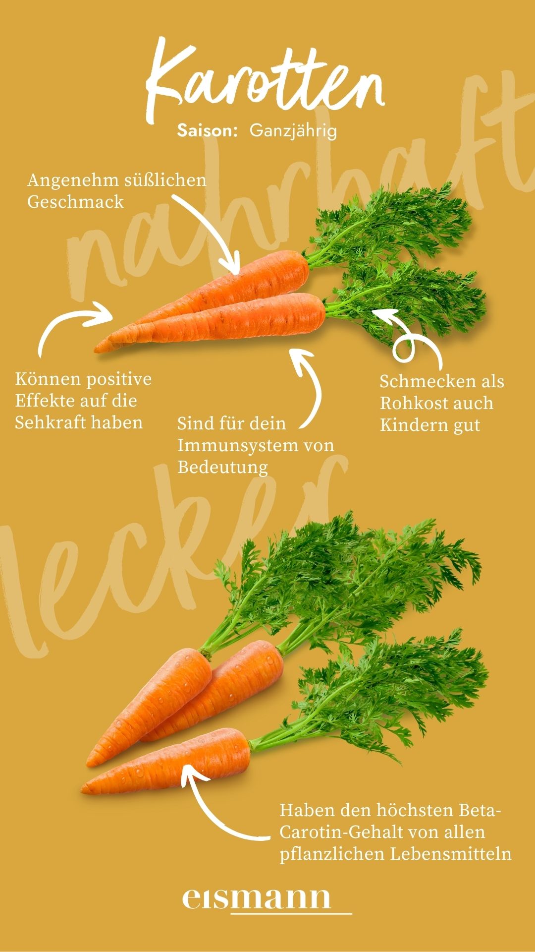 Karotten - Eigenschaften, Saison und Vorteile in der Ernährung