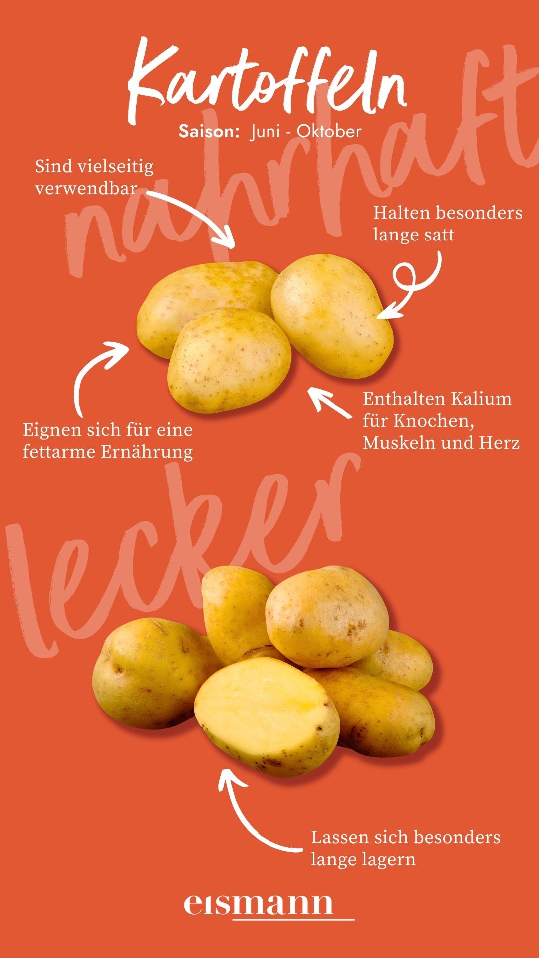 Kartoffeln - Eigenschaften, Saison und Vorteile in der Ernährung