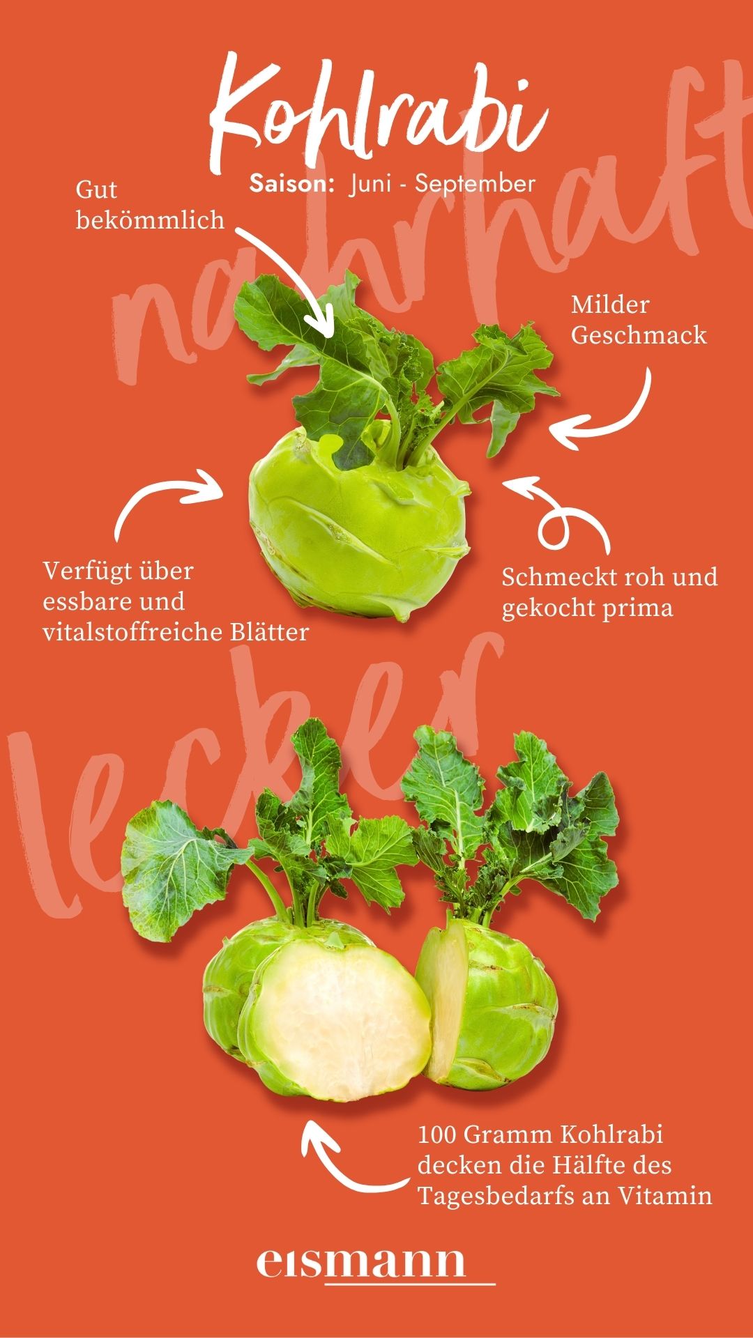 Kohlrabi - Eigenschaften, Saison und Vorteile in der Ernährung