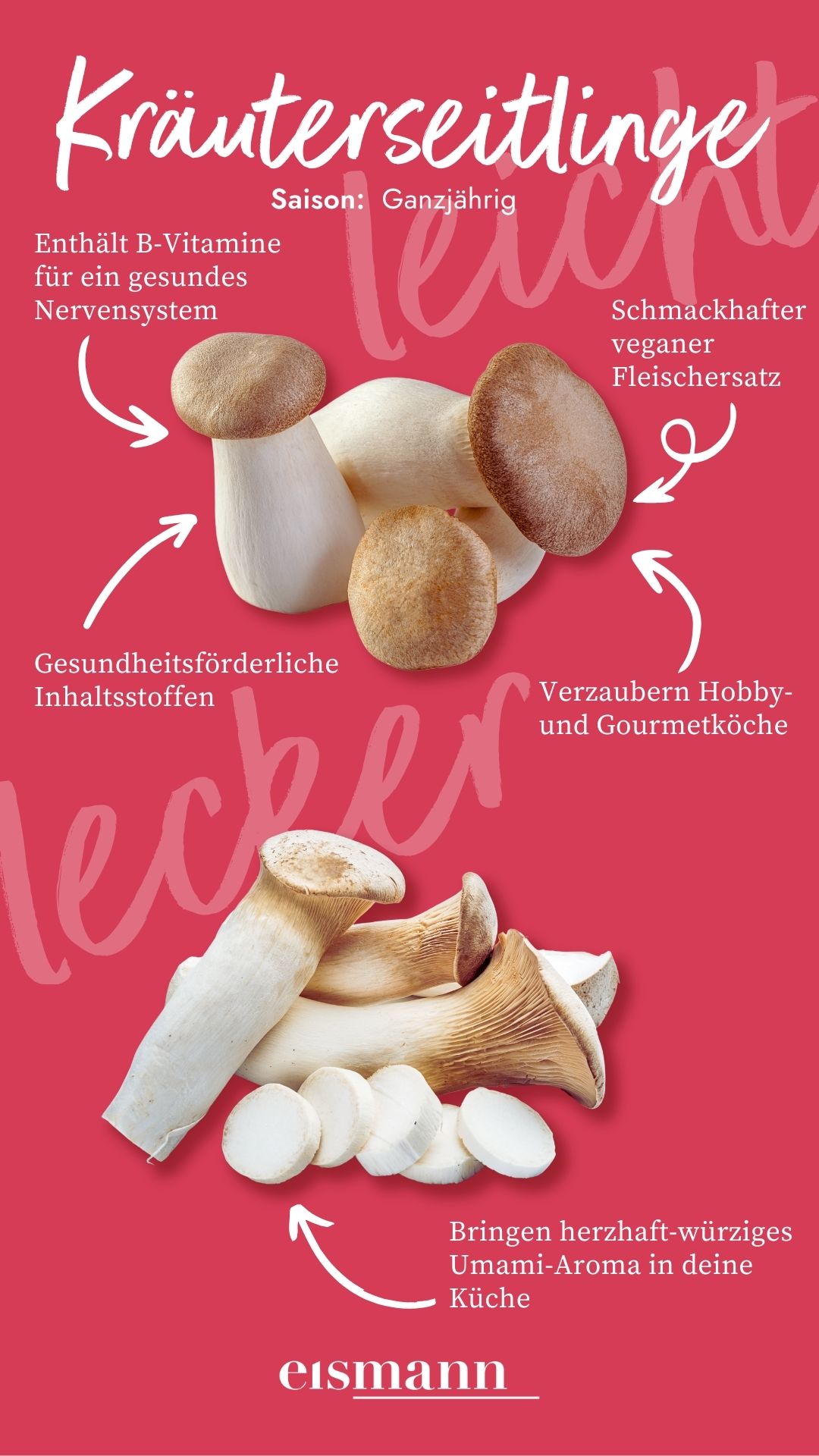 Kräuterseitlinge - Eigenschaften, Saison und Vorteile in der Ernährung