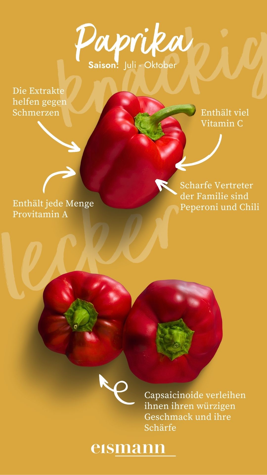 Paprika - Eigenschaften, Saison und Vorteile in der Ernährung