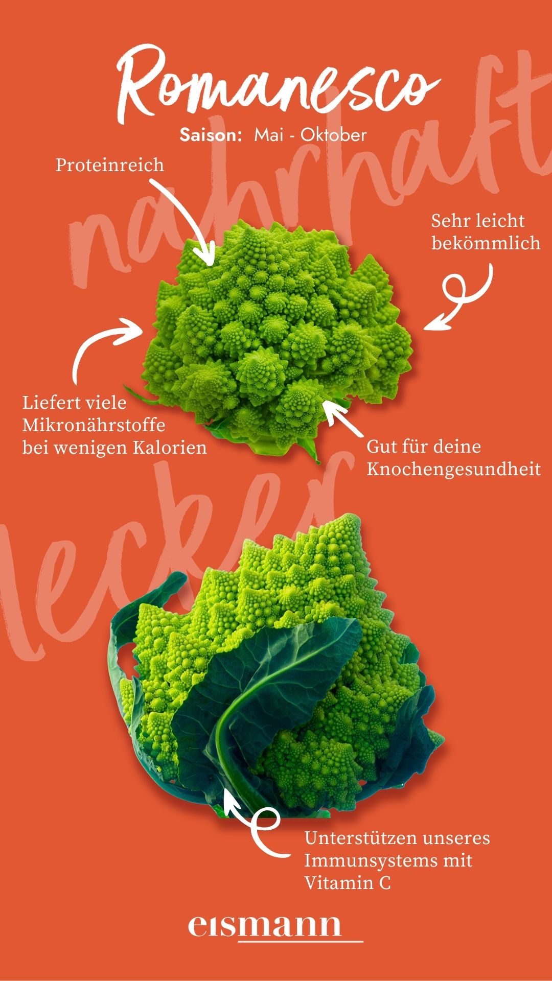 Romanesco - Eigenschaften, Saison und Vorteile in der Ernährung