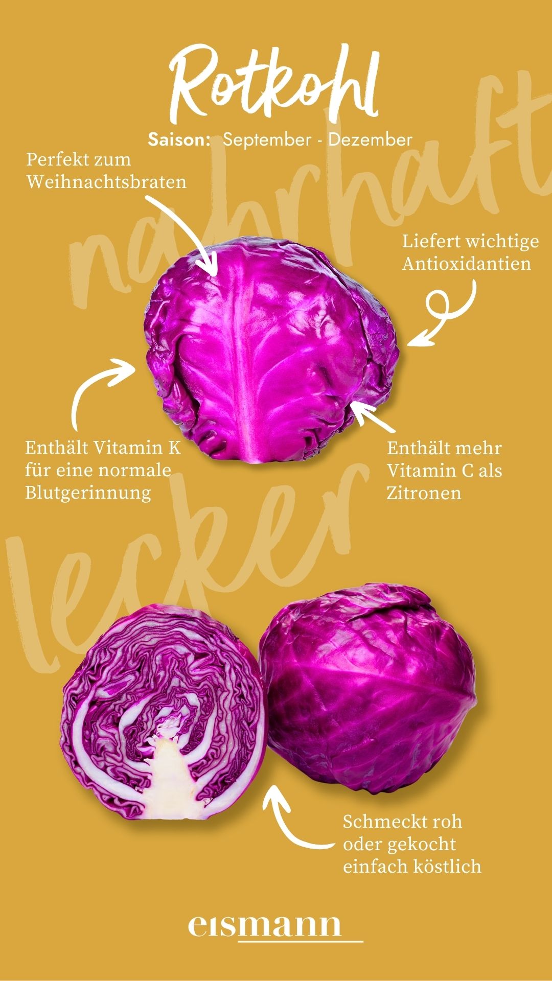 Rotkohl - Eigenschaften, Saison und Vorteile in der Ernährung