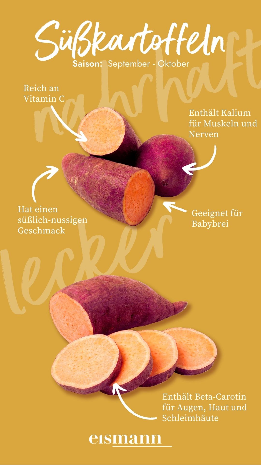 Süßkartoffeln - Eigenschaften, Saison und Vorteile in der Ernährung