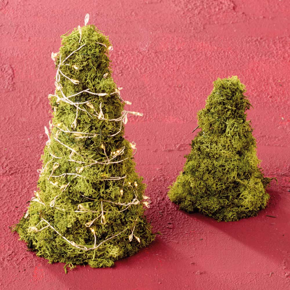 Weihnachtliche Moosbäume  Weihnachtliche Moosbäume
