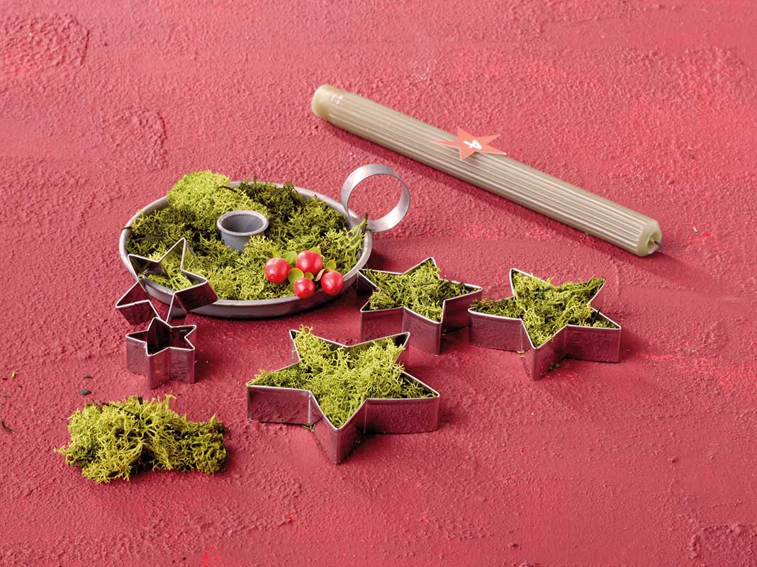 Sterne aus Moos Sterne aus Moos