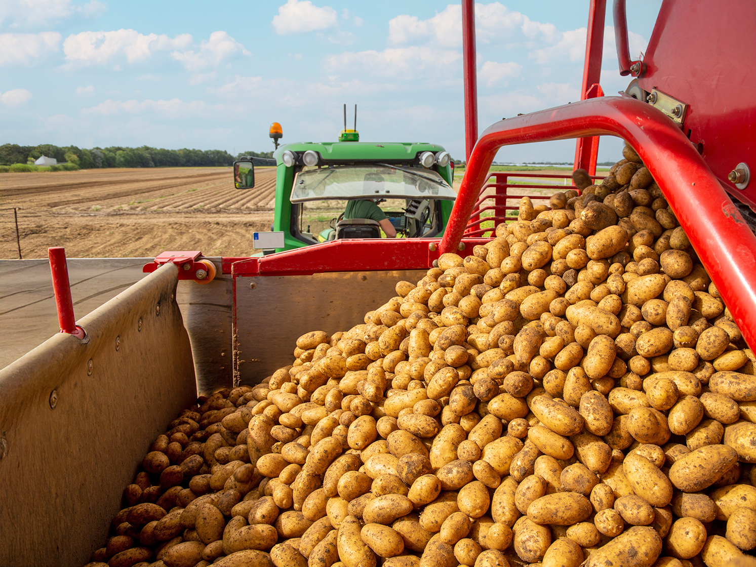 Produktinfos und Herkunft