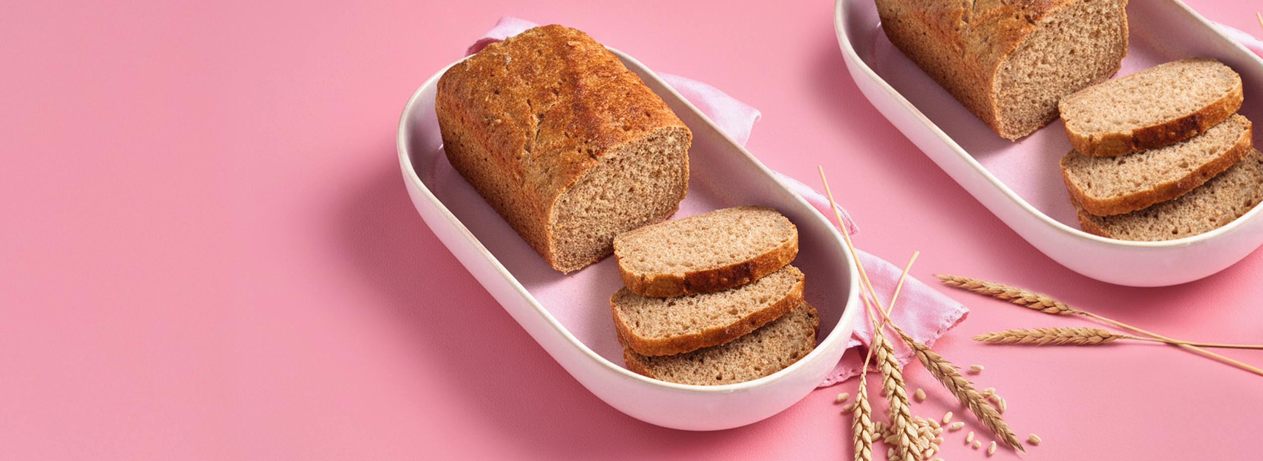 BIO Dinkel-Roggenbrot 65103