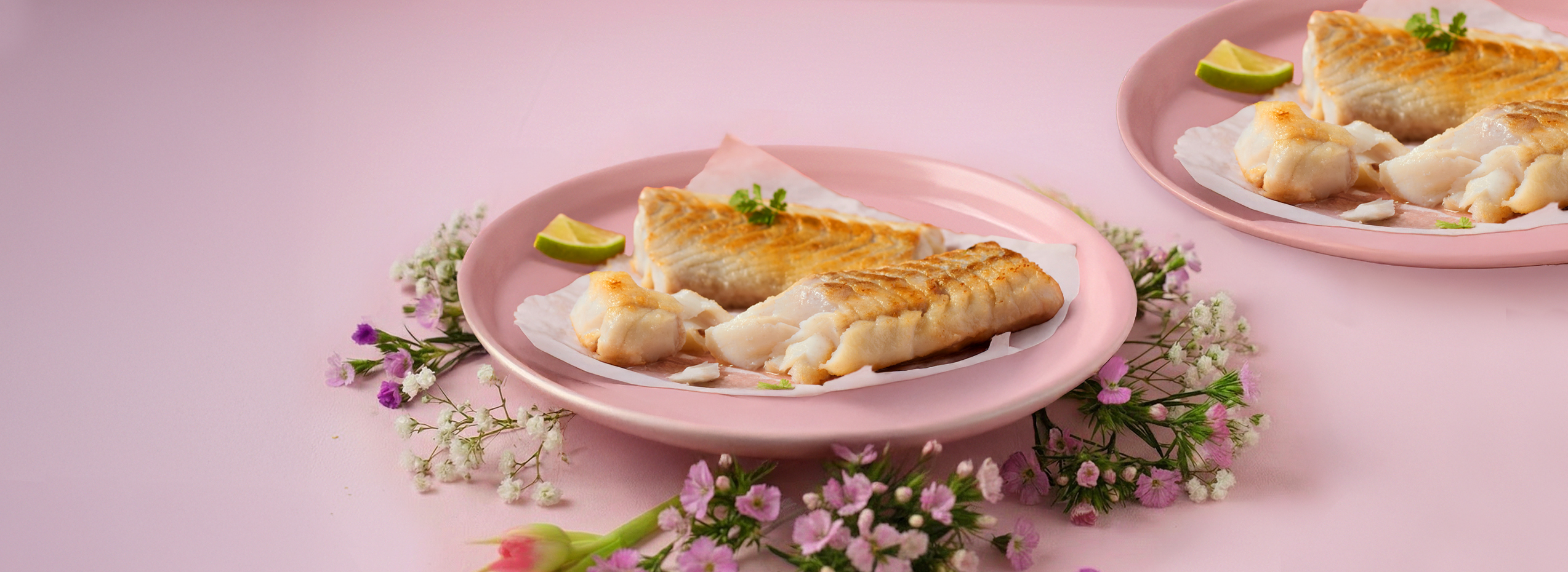 Seelachs-Rückenfilets 60064