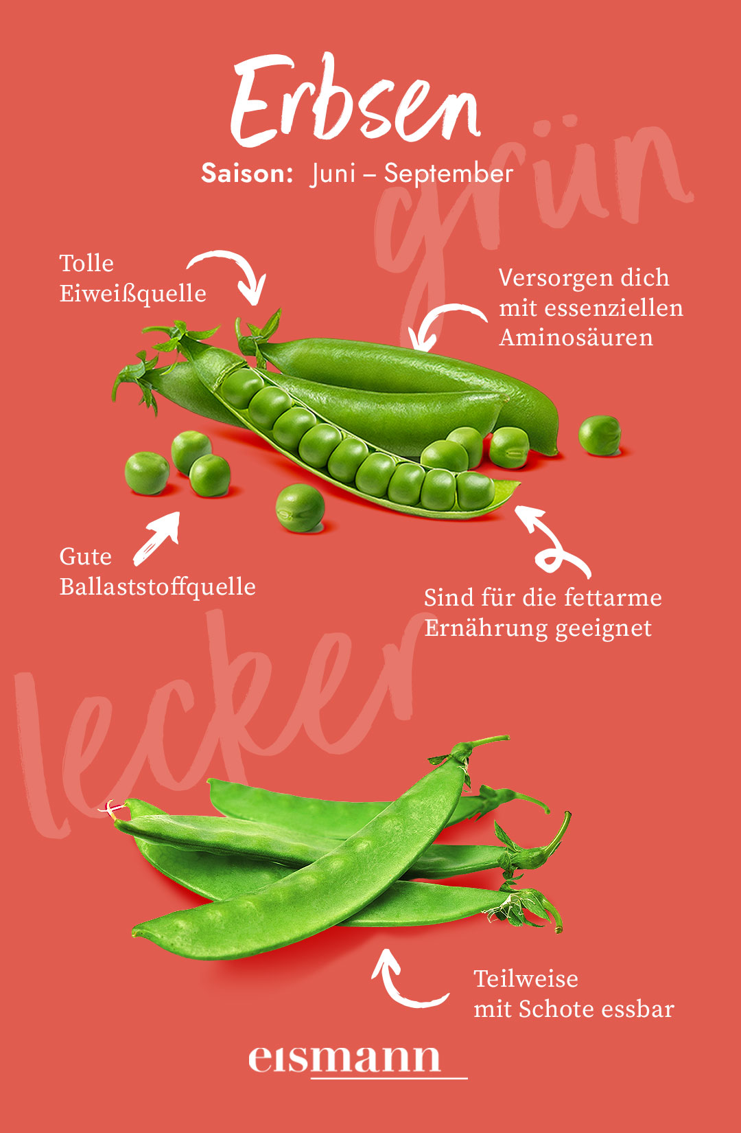 Erbsen - Eigenschaften, Saison und Vorteile in der Ernährung