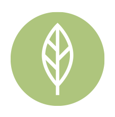 Fleischlos Icon